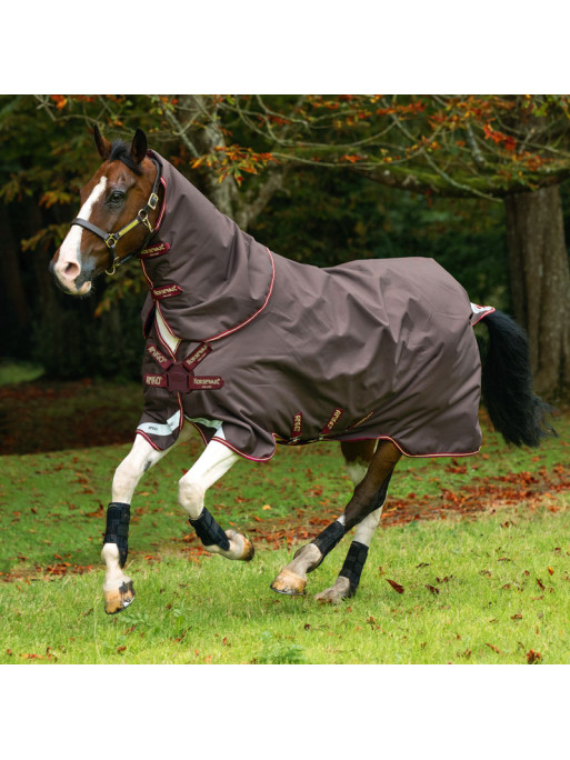 Couverture Amigo Bravo 12 Plus Horseware Couverture Amigo Bravo 12 Plus Horseware
