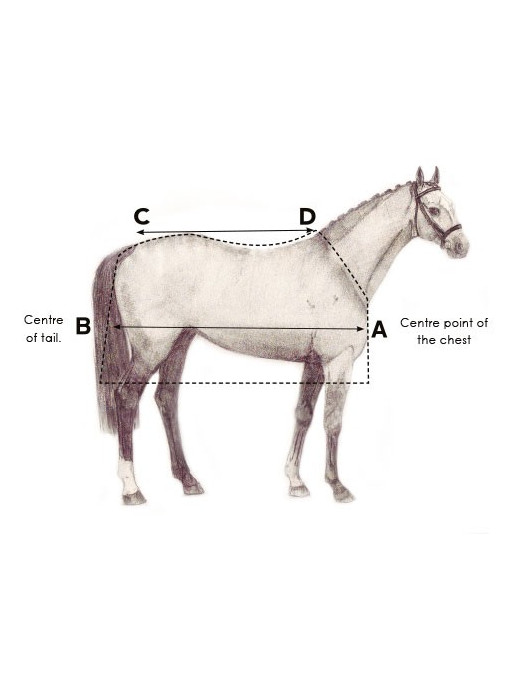 Couverture cheval Horseware Amigo® Bravo 12 Plus