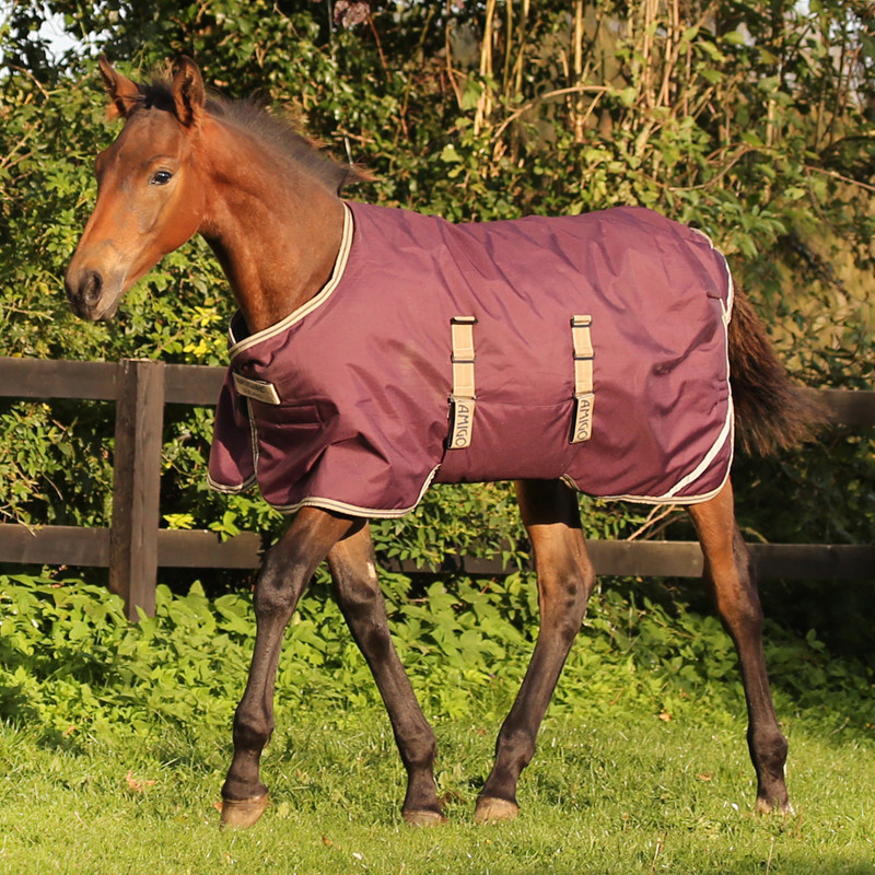 Couverture poulain Amigo Foal Rug Ripstop Horseware