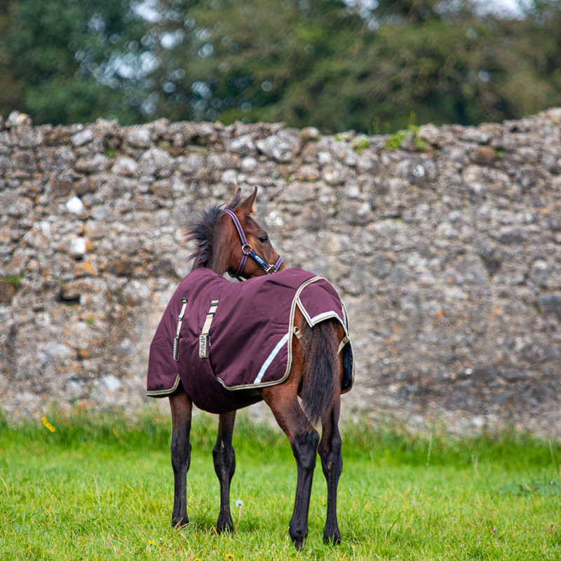 Couverture poulain Amigo Foal Rug Ripstop Horseware