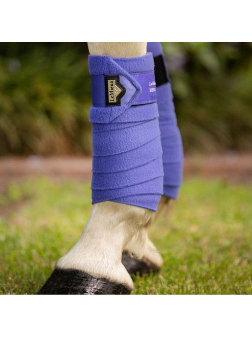 Bandes de polo Loire Satin Lemieux Bandes de polo Loire Satin Lemieux