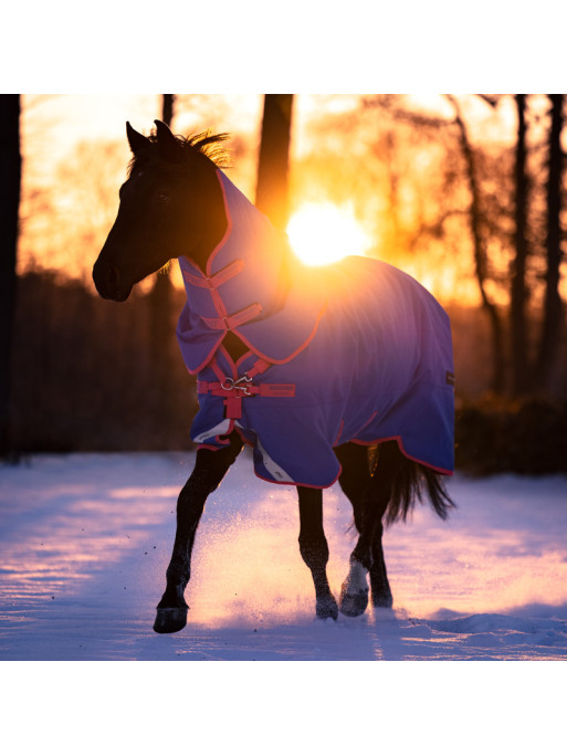 Couverture Amigo Bravo 12 Reflectech Plus 250g Horseware Couverture Amigo Bravo 12 Reflectech Plus 250g Horseware