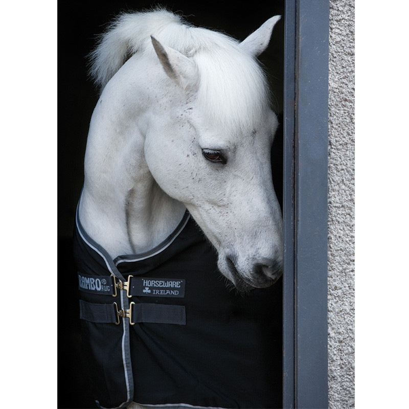 Couverture Rambo Stable Sheet Horseware