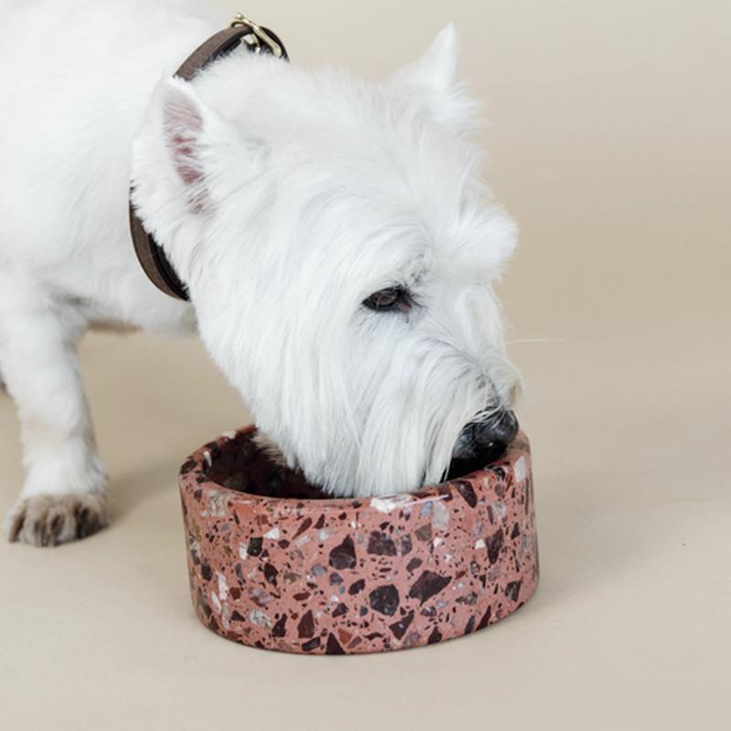 Gamelle pour chien en pierre Terrazzo Kentucky