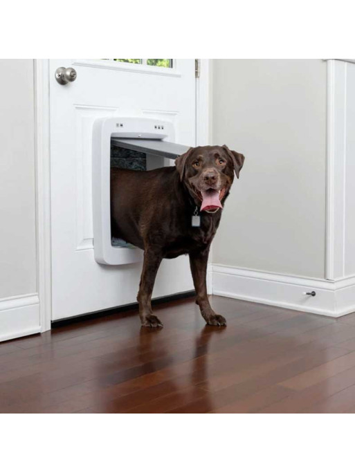 Porte connectée SmartDoor Petsafe