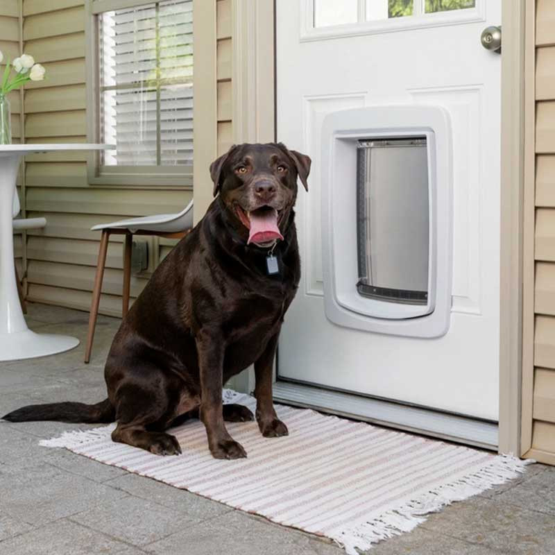 Porte connectée SmartDoor Petsafe