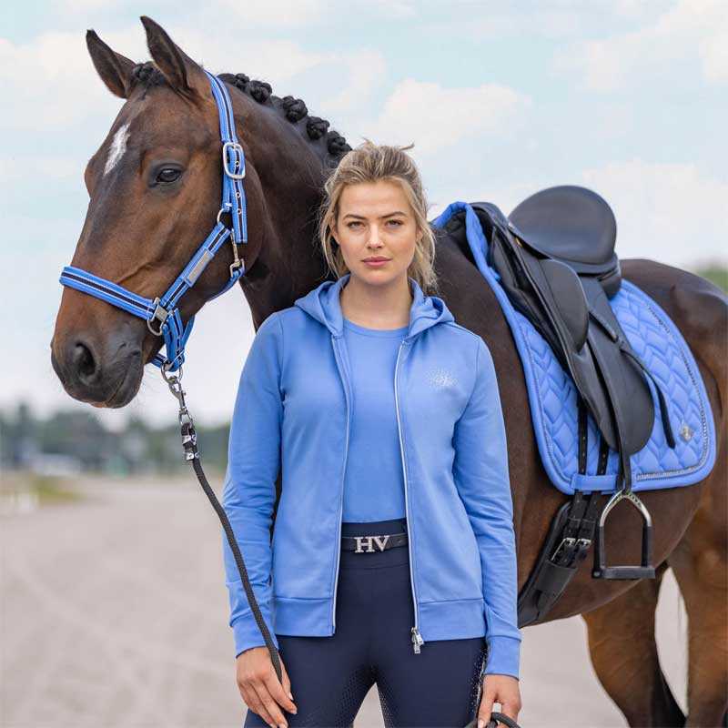 Gilet Classic HV Polo