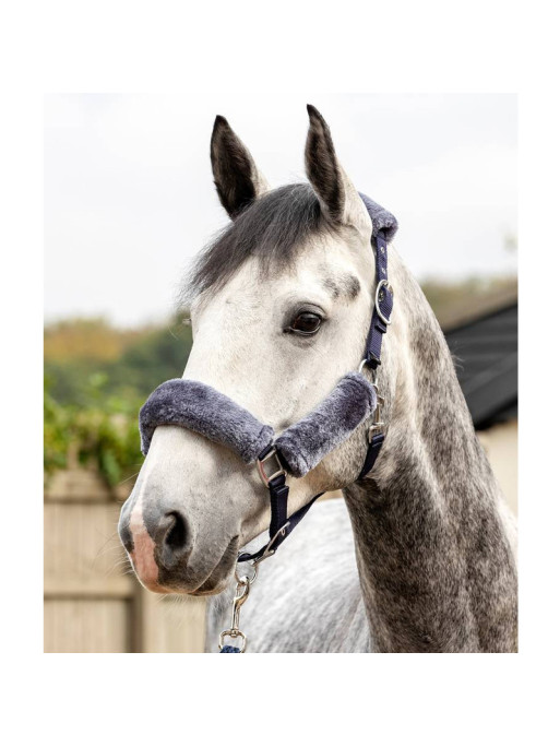 Licol Comfort Headcollar LeMieux