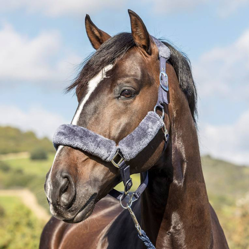 Licol Comfort Headcollar LeMieux
