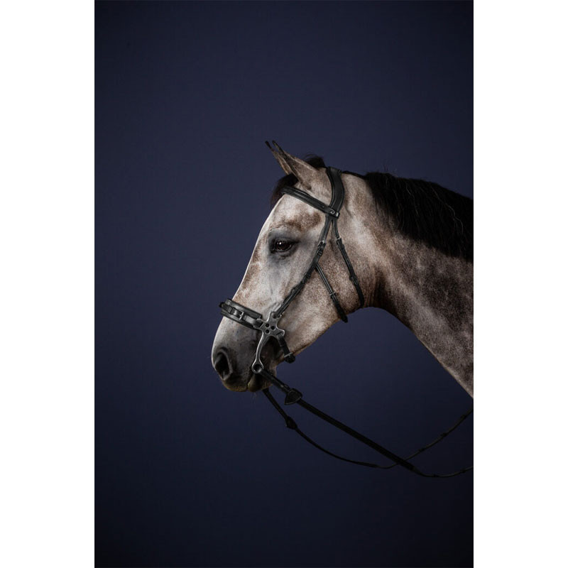 Bridon hackamore 
