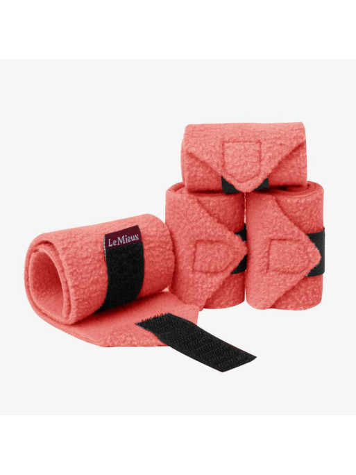 Bandes Toy Pony Lemieux