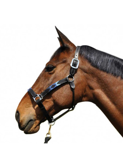 Licol Chukka Flags&Cup Licol Chukka Flags&Cup