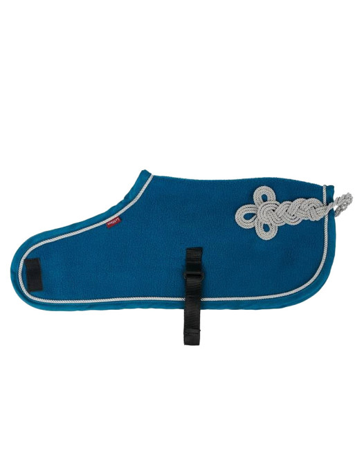 Couverture Toy Pony Lemieux