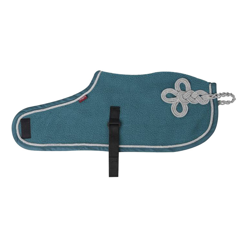 Couverture Toy Pony Lemieux