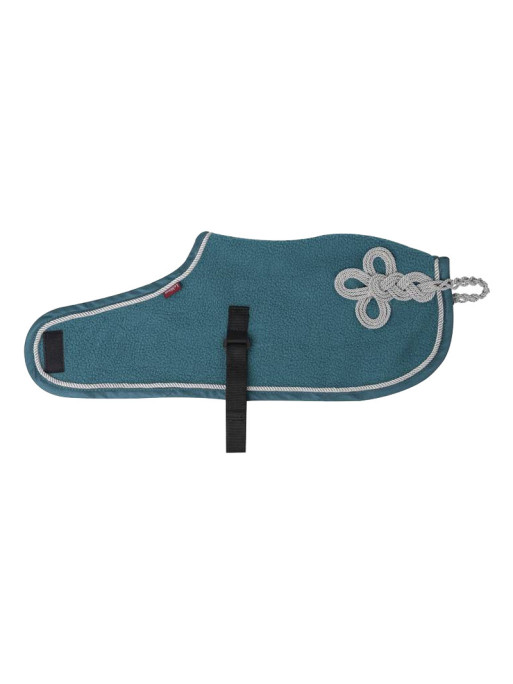 Couverture Toy Pony Lemieux