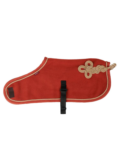 Couverture Toy Pony Lemieux