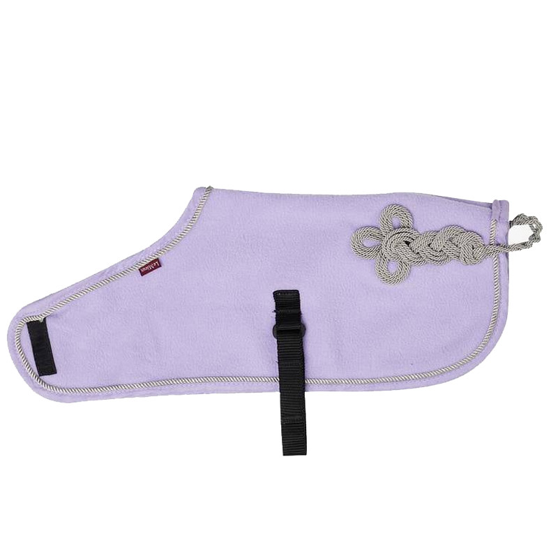 Couverture Toy Pony Lemieux