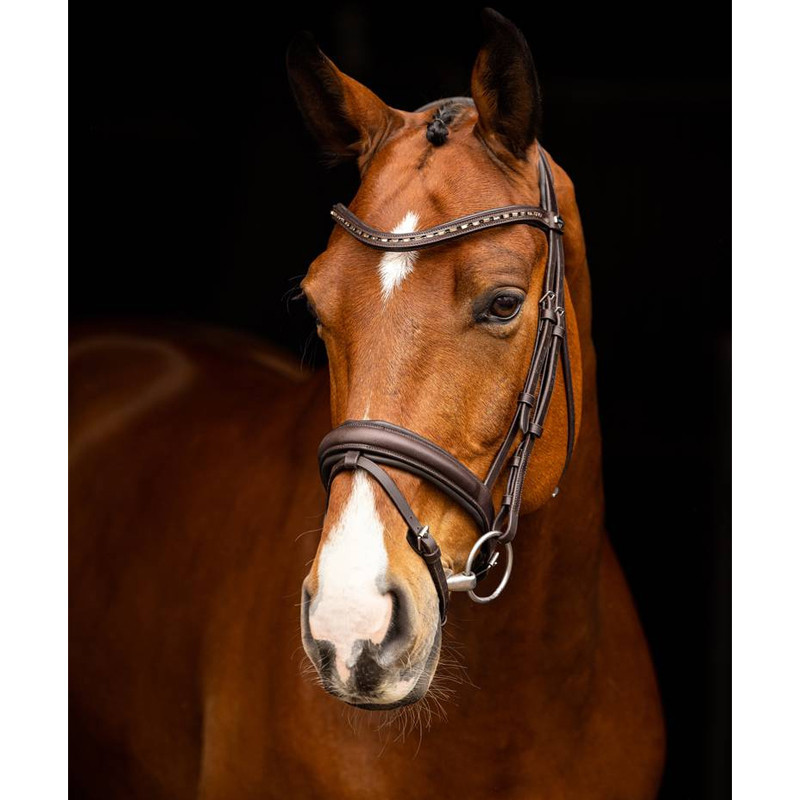 Bridon dressage Arika LeMieux