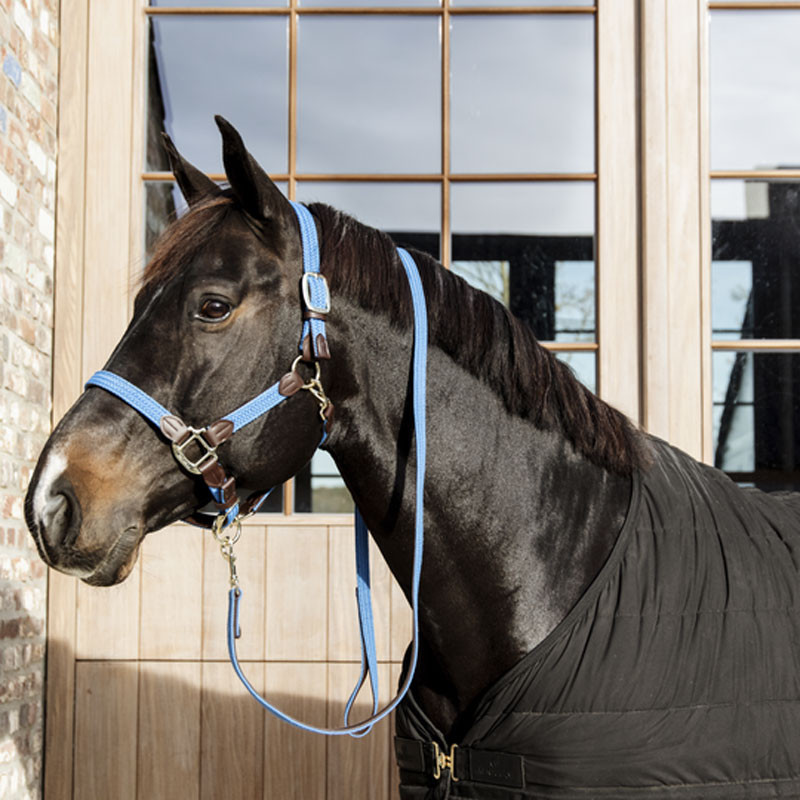 Longe en nylon tressé pour cheval 2m Kentucky