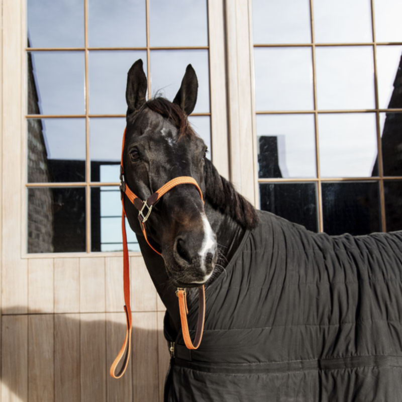 Longe en nylon tressé pour cheval 2m Kentucky