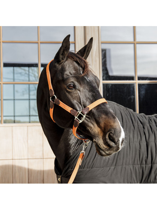 Longe en nylon tressé pour cheval 2m Kentucky