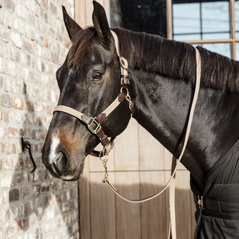 Longe en nylon tressé pour cheval 2m Kentucky