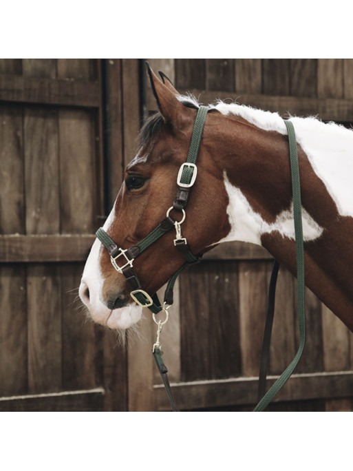 Longe en nylon tressé pour cheval 2m Kentucky