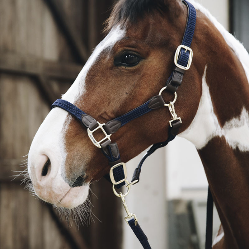 Longe en nylon tressé pour cheval 2m Kentucky