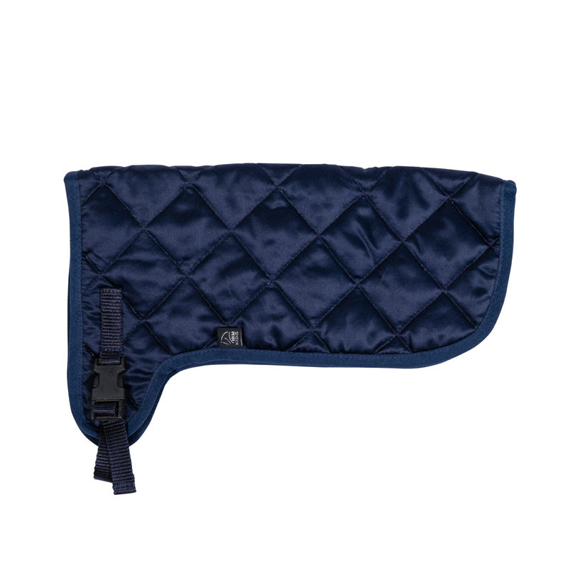 Couverture Hobby Horsing HKM