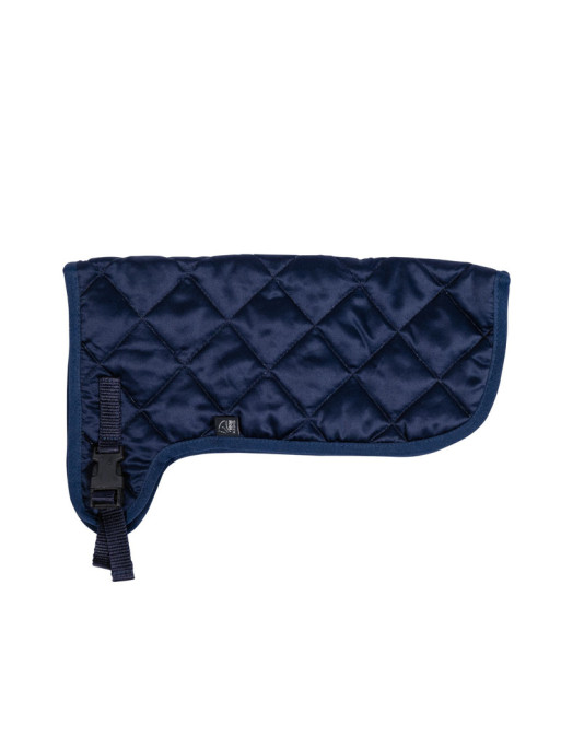 Couverture Hobby Horsing HKM