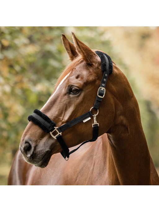 Licol First Waldhausen