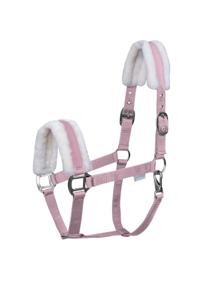 Licol First Waldhausen