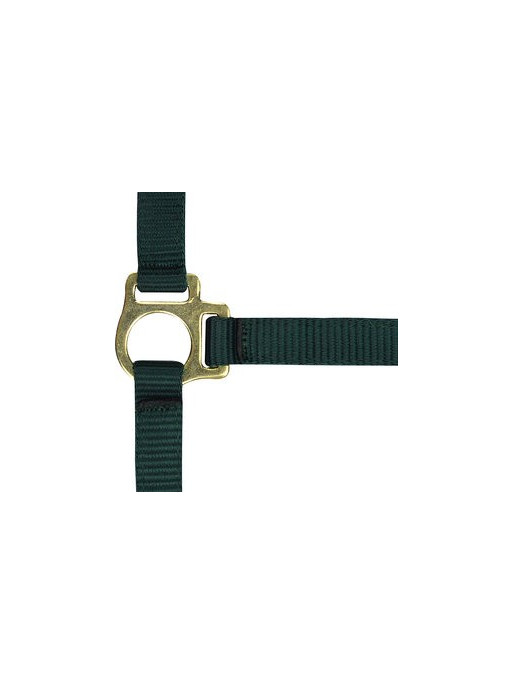 Licol foal nylon