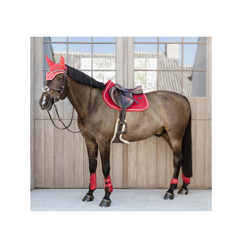 Protège-boulets jeunes chevaux mouton velvet Kentucky