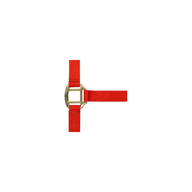 Licol nylon doublé cuir