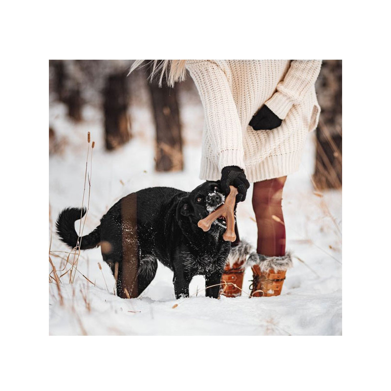 Jouet à mâcher Wishbone Benebone