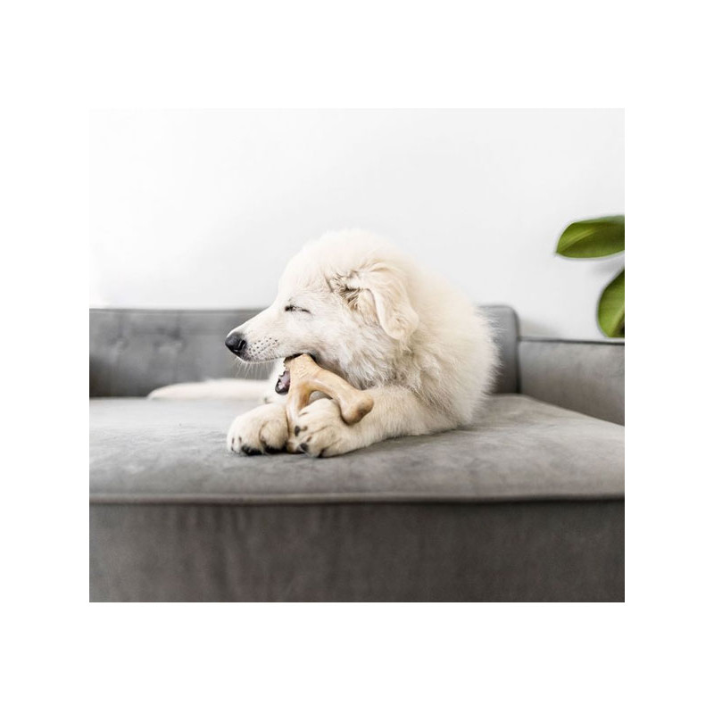 Jouet à mâcher Wishbone Benebone