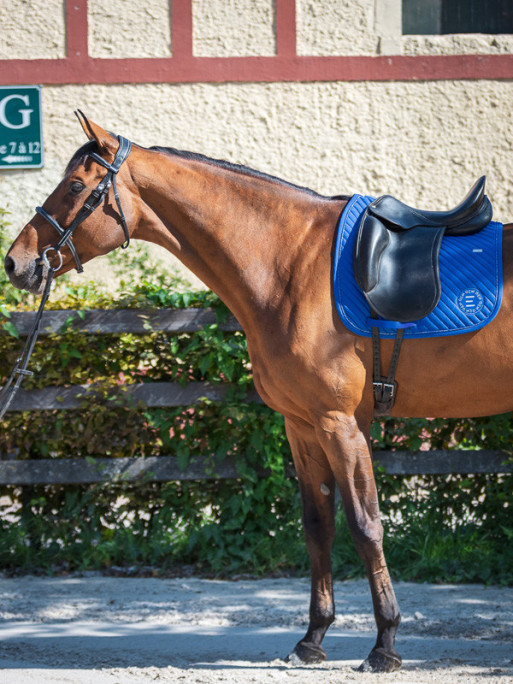 Tapis Sony dressage GEM