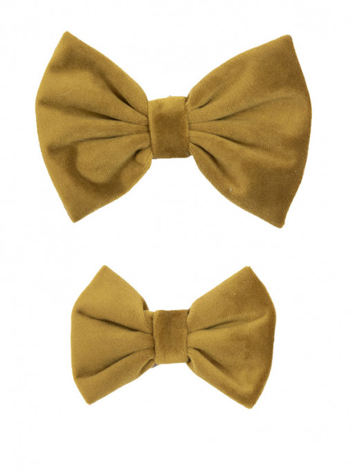 Noeud papillon velvet Kentucky