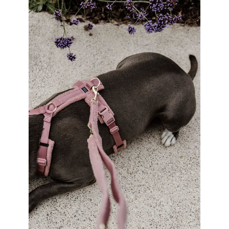 Harnais pour chien Active Teddy Fleece Kentucky