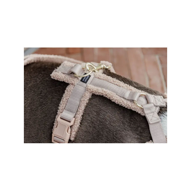 Harnais pour chien Active Teddy Fleece Kentucky