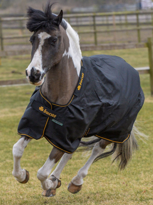 Couverture Irish Turnout 50g Bucas