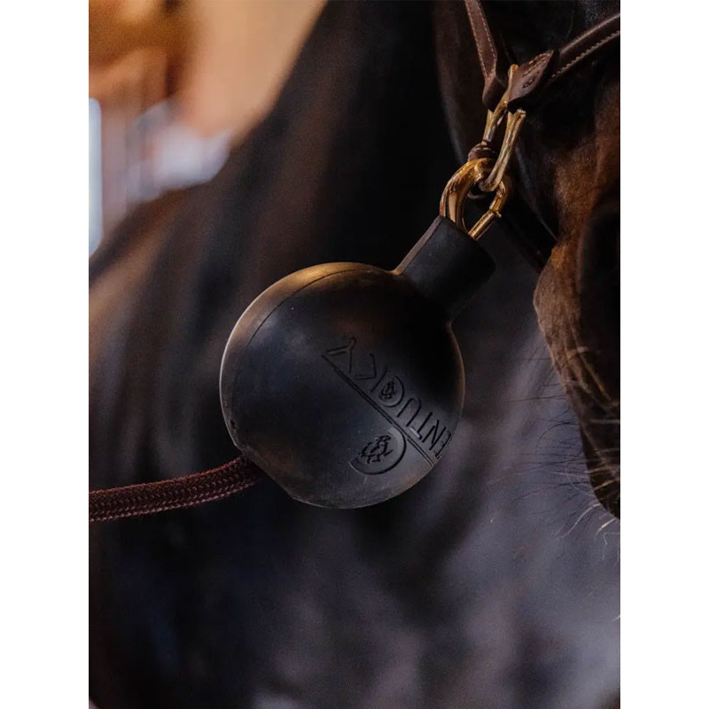 Balle de protection d'attache Kentucky