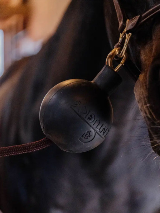 Balle de protection d'attache Kentucky