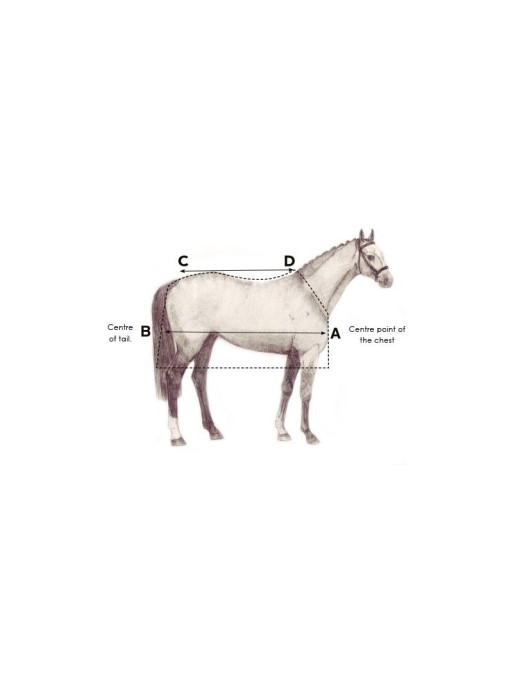 Couverture Amigo Hero 900 Plus Disc Front 100g Horseware Couverture Amigo Hero 900 Plus Disc Front 100g Horseware